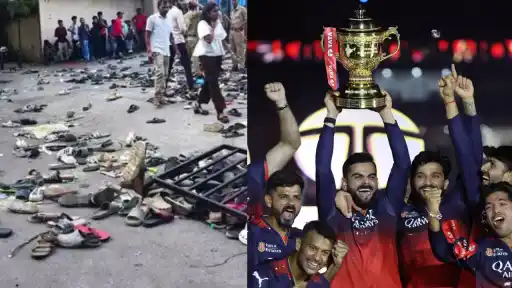 rcb stampede modi.webp